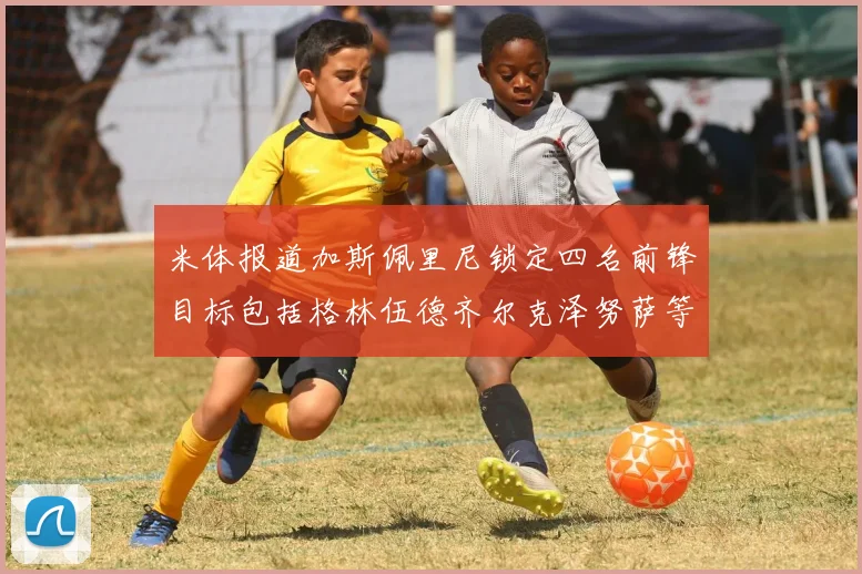 米体报道加斯佩里尼锁定四名前锋目标包括格林伍德齐尔克泽努萨等人
