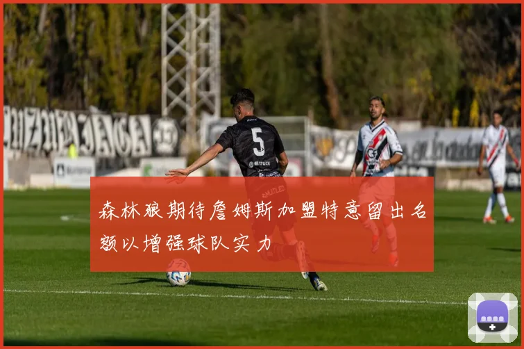 森林狼期待詹姆斯加盟特意留出名额以增强球队实力
