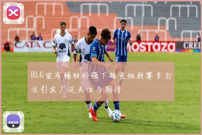 BLG宣布辅助补强下路重组新赛季打法引发广泛关注与期待